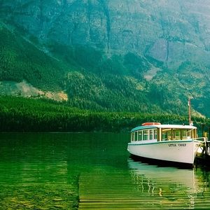 Meet your Posher, Maxwell